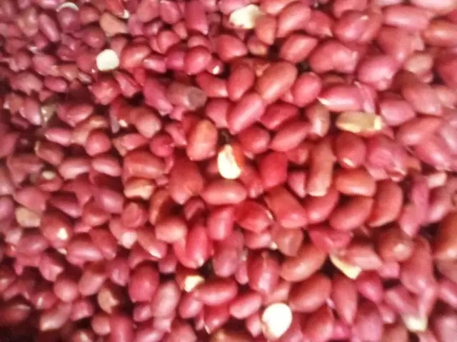 Red Pistachio